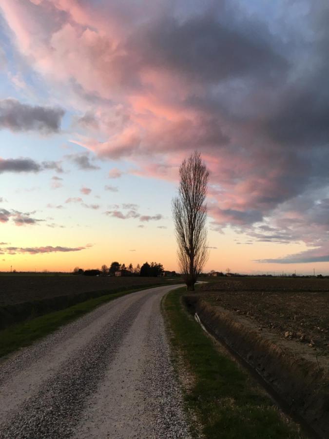 Il Frattiero B&B Voghenza Luaran gambar